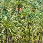Centro, Affiliated By Melia מלון 3*